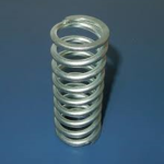 Lubrificantes Especiais para Molas Molykote